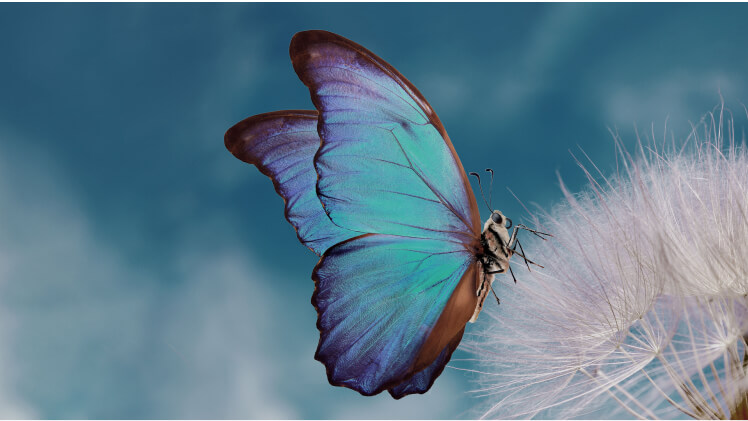 AI Color Correction: One-tip Auto Color Fixing