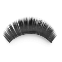 Hybrid Volume Eyelash