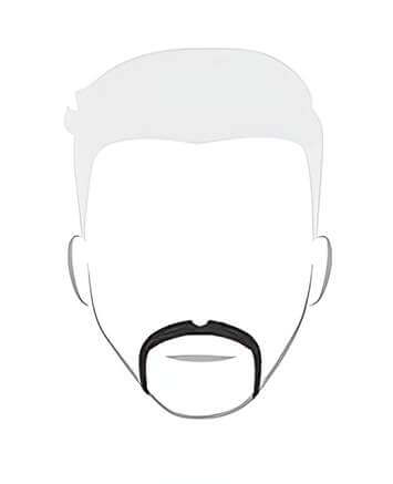 Moustache en Fer à Cheval