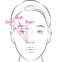 Sopracciglia dall'Arcata Perfetta