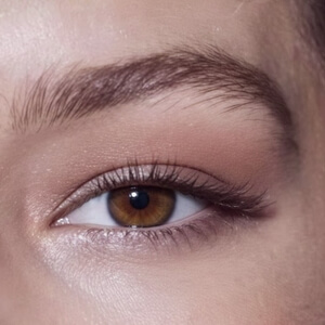 Rounded Brows