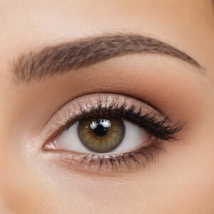 Soft Arched Brows