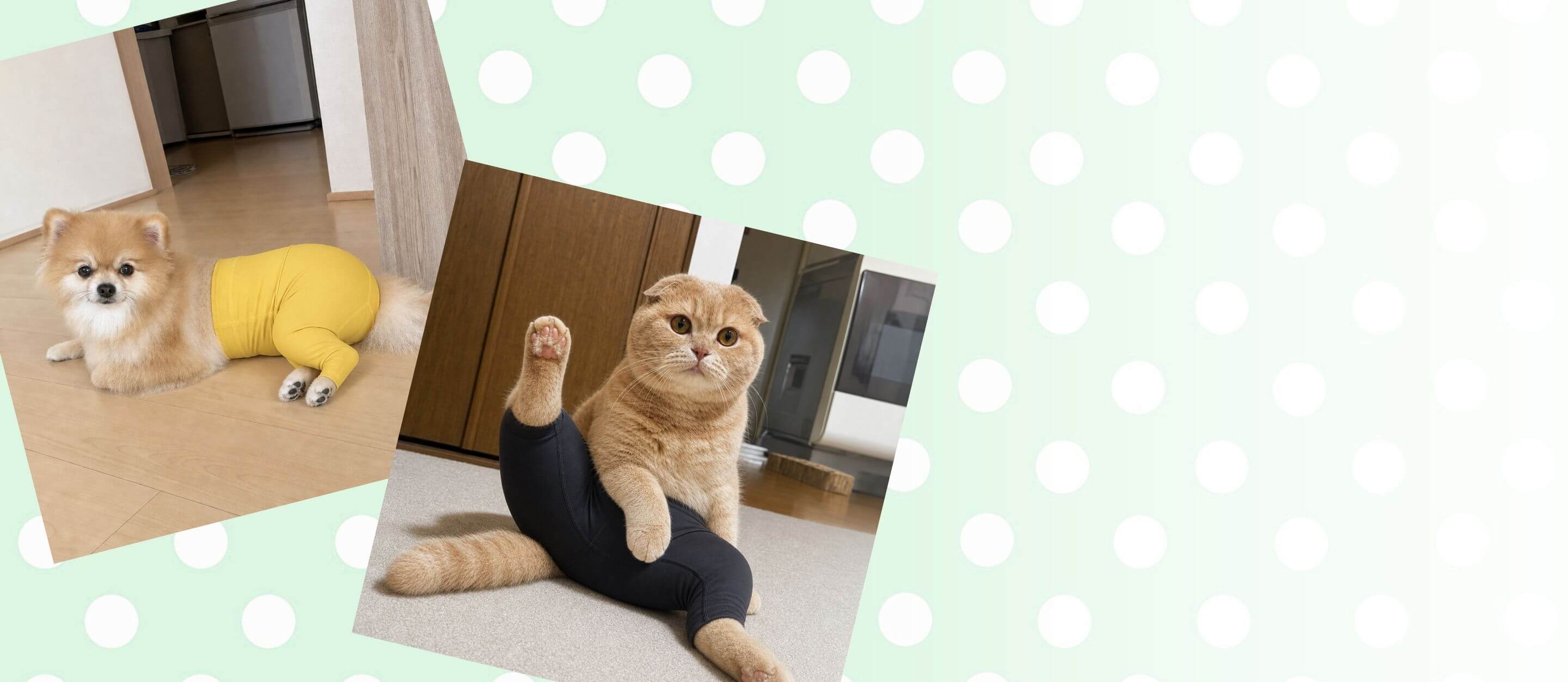 top banner desktop